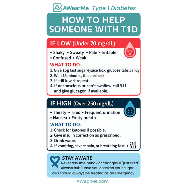 How to Help Someone with T1D - Magnet (7.5"x4.5")
