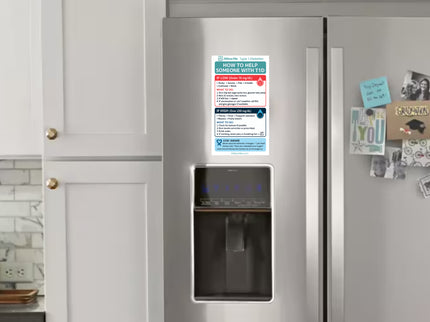 How to Help Someone with T1D - Magnet (7.5"x4.5")